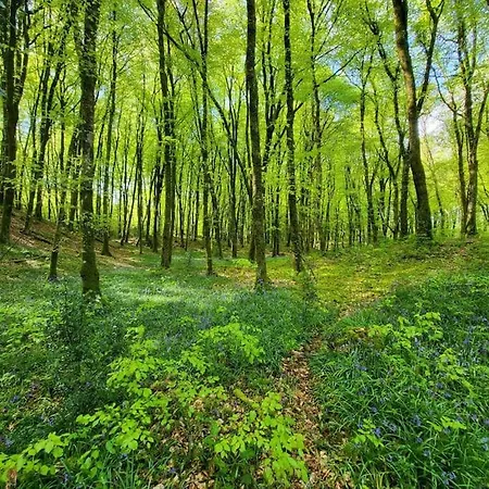 Apartment - Clonlyne House Oldcastle